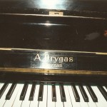 ADrygas22