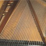 struny i strojnica fortepianu Bosendorfer