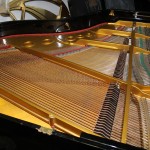 IMG_0837
