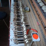 wymiana uszkodzonych tasiemek mechanizmu pianina