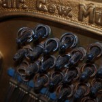 august_forster1