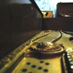 august_forster3