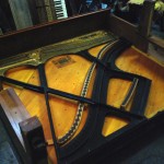 august_forster4