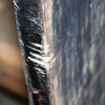 carl_ecke16