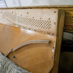 carl_ecke3